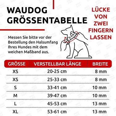 Стильний шкіряний нашийник для собак WAUDOG: для маленьких, середніх та великих порід, 20-25 см, 8 мм, помаранчевий