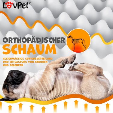 Lovpet® Orthopedic Dog Bed, Dog Cushion, Dog Basket Cookie, Incl. Bowl + 3X Chew Bones, Dog Sofa for Small, Medium & Large Dogs, Removable and Washable Cover, L 91x69x7.6 cm Anthracite (L (91 x 69 x 7.6 cm), Grey / Light Grey)
