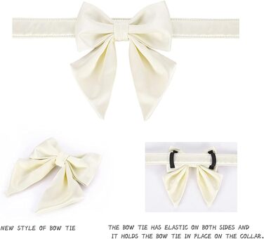 Елегантний ошийник для собак Lionet Paws з краваткою - комфортний шовковий ошийник знімною краваткою для маленьких собак, обхват шиї 25-40 см, білий (1 шт.)