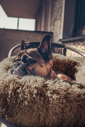 М'яке ліжко для собак та котів великих порід - кругле пухнасте ліжко з високими бортиками - антиковзаюче дно - силіконова наповнювач - комфортне місце для сну - 90 см - зручне та довговічне - бежеве