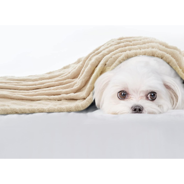 MIULEE Деки для собак 70x100 см, м'яка ковдра для собак та котів, флісова ковдра, легко миється, підходить для собак, котів, морських свинок та інших тварин (Small(40*60cm), Бежевий)