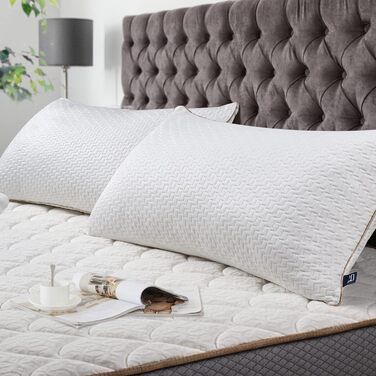 BedStory Pillow 40x80 2-Pack with Removable Bamboo Fiber Cover, Anti-Mite and Antibacterial Pillow Filled with 950g x 2 Microfibers, Hypoallergenic, Comfortable, Soft, and Breathable Pillow