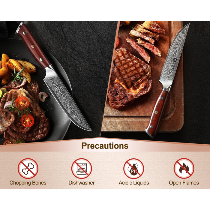 XINZUO Damascus Chef's Knife Set - 67 Layer High Carbon Steel, Professional Gyuto Knife with Rosewood Handle (5-Piece Steak Knife Set)