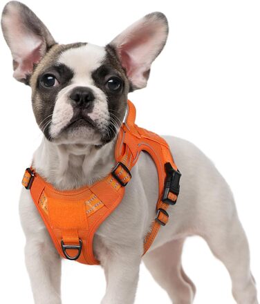 Нагрудник для собак Rabbitgoo середнього розміру, анти-тяга, регульований з ручкою, міцний та зносостійкий, тактичний з металевими пряжками для прогулянок (M, Оранжевий)