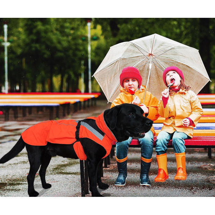 Lautus Pets Dog Raincoats, Waterproof, Reflective, Light-Colored with Leash Hole (Orange, S)