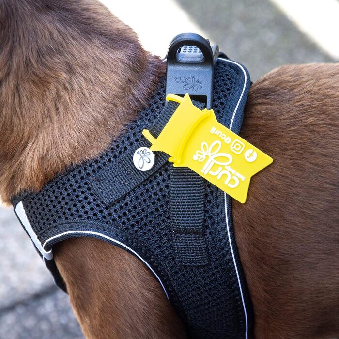 Шлейка для собак з кільцем D-Ring, чорна, розмір M, mit curli