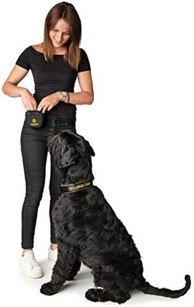 Нашийник для собак HUNTER Neopren Reflect BVB, світловідбиваючий, з підкладкою, чорний/жовтий, 55 см