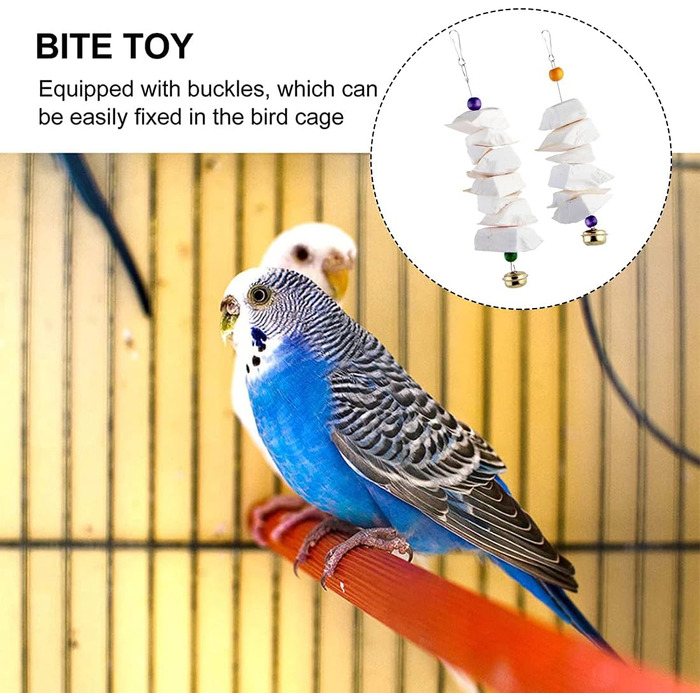 Parrot bones, fragile molars, chewing toys, grinding birds, beak and calcium, bone supplements, parrots, cockatiels
