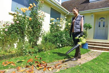 Електричний садовий пилосос-видувка RYOBI RBV3000CSV 3000 Вт