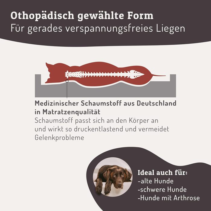 ABRO Кушетка для собак ортопедична – Мартін Рюттер – З високоякісної штучної шкіри – Стійка до подряпин та вологи – Ергономічна – Преміум аксесуар для собак маленьких порід (L, Чорний)