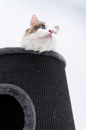 Кігтеточка Petrebels Dome, 80 см, чорна: стабільна та міцна