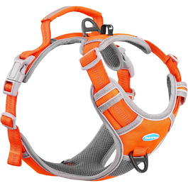 розмір: l (1-й пакет)