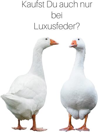 Подушка для дивана Luxusfeder 30x50 см, наповнювач пухова суміш, 400 г, чохол 100% бавовна, сертифікат Öko-Tex