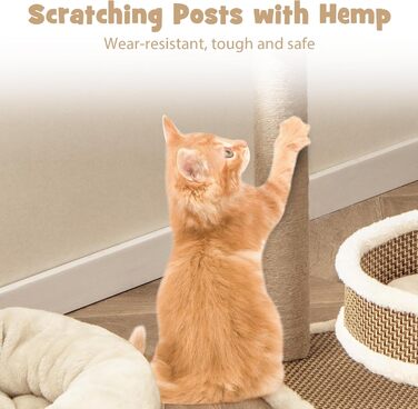 Кігтеточка SOARS для котів з ліжком, платформою та іграшками, 40x40x80 см