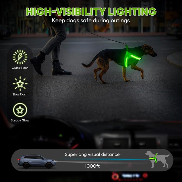 Світловідбиваючий поводок для собак середнього розміру BiPawTi, перезаряджуваний світловідбиваючий жилет для собак з 3 режимами освітлення - світлодіодна шлейка для собак, що світиться в темряві, для кемпінгу з собакою - зелене світло