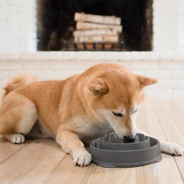 Миска для собак Outward Hound Fun Feeder M, сіра - уповільнює годування, запобігає здуття, антиковзаюча