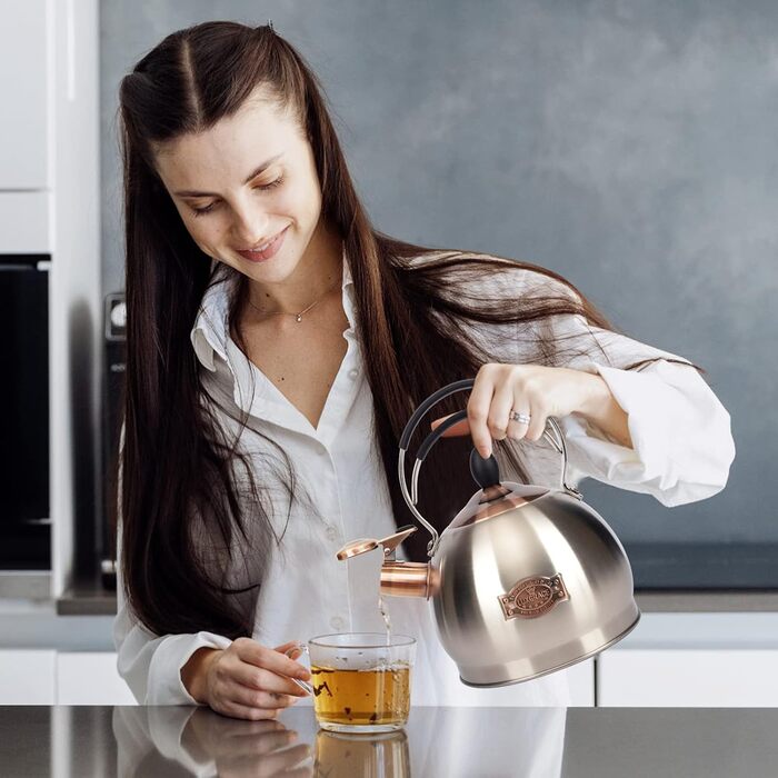 Вінтажний чайник-свисток з нержавіючої сталі 2.6L, ретро дизайн, з ручкою (сріблястий)