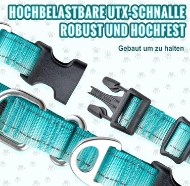 Відбиваюче повідець для собак Martin Gay, з зупинкою, для великих, середніх та малих собак, повідок-стопер для Whippets, Greyhounds, Saluki (Турквезевий, M)