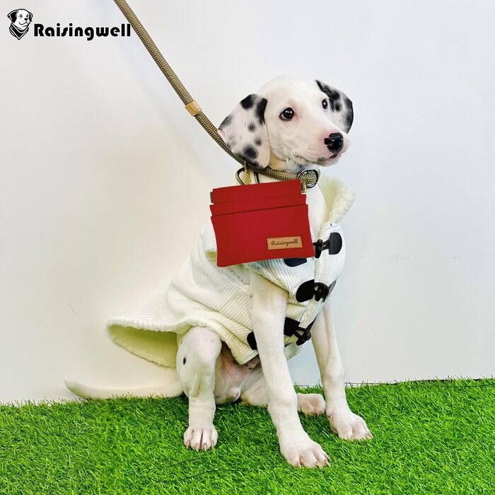 Сумка для корму для собак Leckerlibeutel – зручна для прогулянок, з міцної бавовни, з карабіном та самозакривною застібкою, ідеальна для подорожей та активного відпочинку (червона)