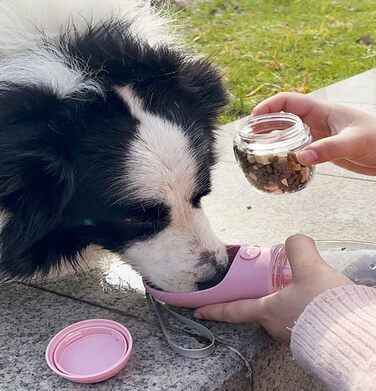 Турботрінка для собак на винос, портативна пляшка для води без BPA, дорожня миска для води для собак маленьких порід, водонепроникний диспенсер для води для домашніх тварин Outdoor (білий) Білий (550 мл + 100 г, білий)