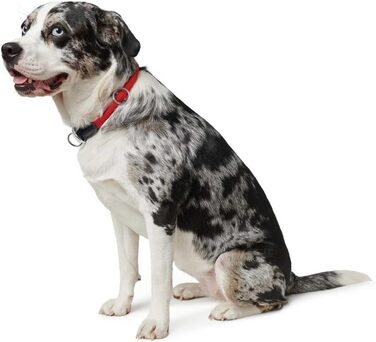 Нашийник для дрессури HUNTER FREESTYLE, червоний, розмір M. Міцний, з нейлоновим тросом, стійкий до погодних умов, для тренувань та повсякденного використання.