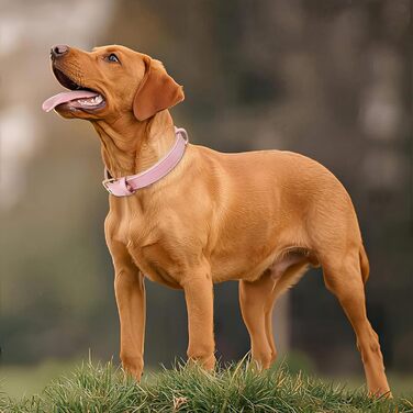 Нашийник для собак Heele з натуральної шкіри, рожевий, регульований, великий розмір (L), 1 шт.