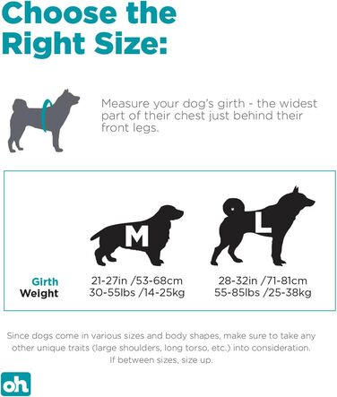 Рюкзак для собак Outward Hound DayPak, великий, блакитний