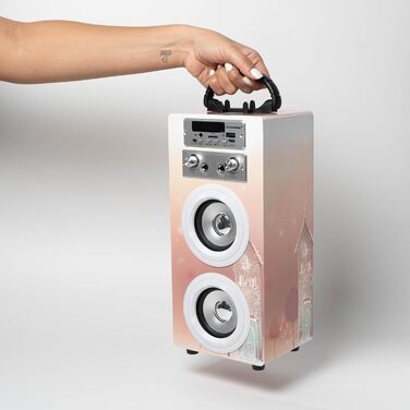 Караоке DYNASONIC з 2 мікрофонами, портативна караоке-машина, Bluetooth-динамік, USB та SD-кардридер, світлові ефекти, подарунок для дітей 5-13 років (Model 19)