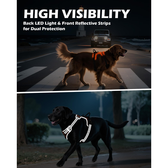 Світловідбиваючий нашийник для собак Joytale з підзарядкою, без натягування, з ручкою, для нічних прогулянок, чорно-синій, M (XL, 1 шт.), помаранчевий