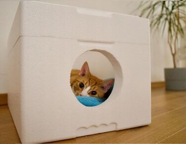 Вологостійкий котячий будиночок QLS зі стиропора, 58x38 см – ізольоване захисне житло для котів на вулицю