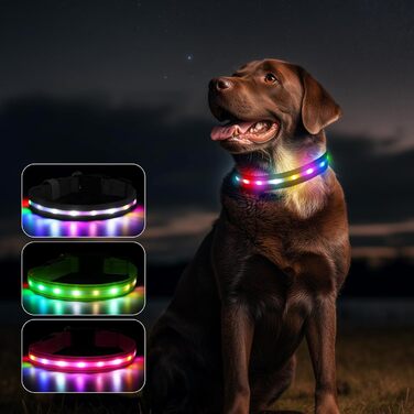 LED-нашийник для собак з підзарядкою USB, вологостійкий, регульований, 3 режими, для малих, середніх та великих собак (Чорний, L(48-60см))