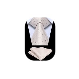 Краватка Enlision для чоловіків у клітинку з нагрудником, формальна краватка та краватка для бізнесу, комплект краватки та нагрудника, шампань