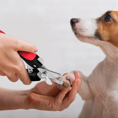 Електричний точило для кігтів собак Aomig Krallenschleifer: 6 шт. для собак та котів, 2 швидкості, LED-дисплей, тиха робота, з запасними насадками