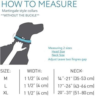 Нашийник для собак середніх та великих порід Martingale 4 см, міцний, регульований, двоколірний (чорний та сірий)
