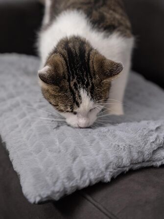 TrendPet Лежанка для собак і котів, двостороння, з підкладкою, сіра (50x35 см)