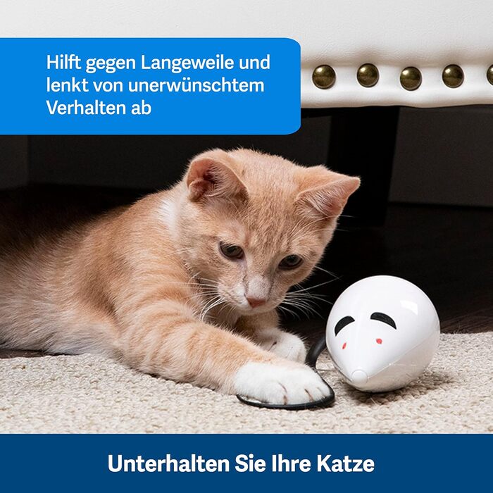 PetSafe Cat Toy, Interactive Activity Toy with Timer, 3 AA Batteries Required (Rolorat)
