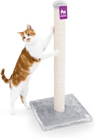 Petrebels Premium Quality Cat Tree Maine 90 cm High, with Extra Stable Base Plate and Natural Sisal Post, 40 x 40 x 90 cm, Color /Beige (Gray)