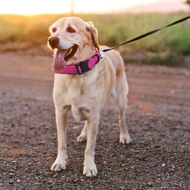 Регульоване нашийник для собак з контролем, тактичний, нейлон, з м'якою підкладкою, металева застібка, для середніх та великих собак, для полювання, тренувань, на відкритому повітрі, рожевий (M, рожевий)