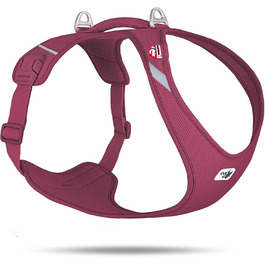 колір: рубі