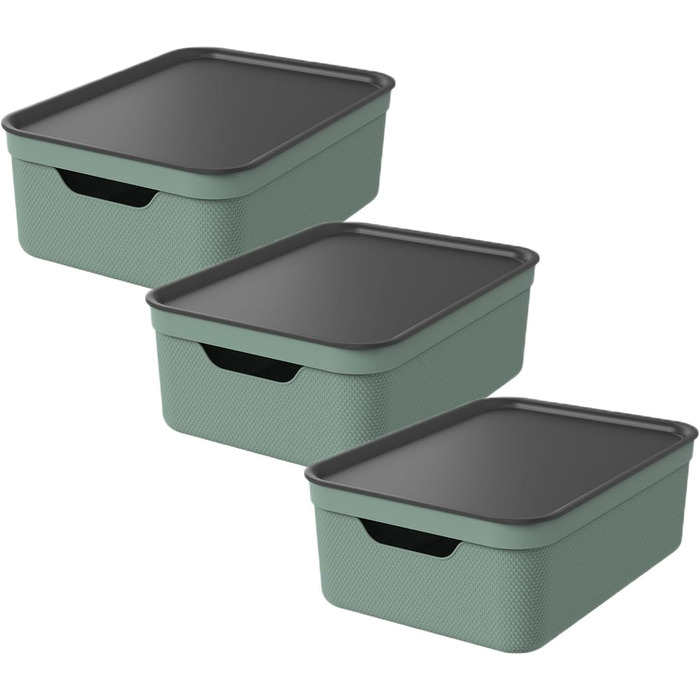 Rotho Jive 3-Piece Storage Box Set, 10L with Lid, Plastic, Anthracite (Green)