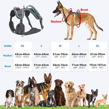 Нашийник для собак з екошкіри, перероблений, для великих та середніх собак, зелений (XS, синій)