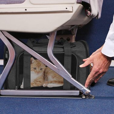 Транспортна сумка для кота та собаки, складана переноска для домашніх тварин середнього розміру (51x33x33 см, чорна)