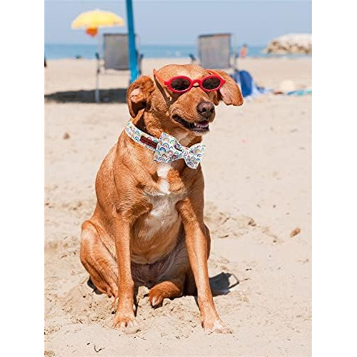 Нашийник для собак Unique Style Paws з метеликом, регульований, для середніх собак (L, Райдужний)