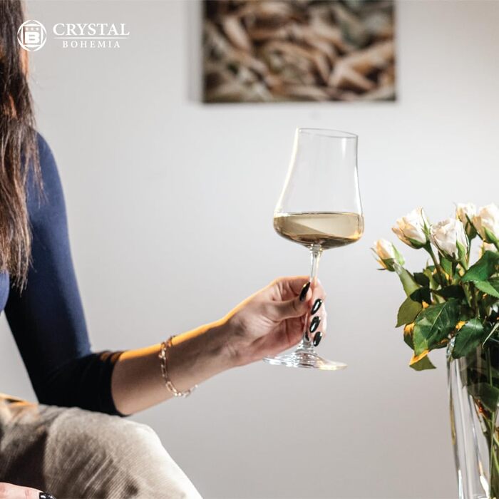 Набір коктейльних склянок Crystal Bohemia (6 шт), 300 мл, стійкі до миття в посудомийній машині, міцні - Склянка з кришталю, ідеальні для коктейлів та особливих випадків