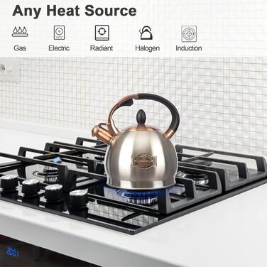 Чайник для заварювання чаю, класичний, нержавіюча сталь, 3 л (срібляний)