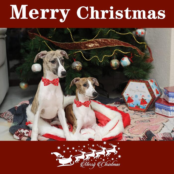 Нашийник для собак Unique Style з знімною метеликом, для маленьких, середніх та великих собак, регульований, XXS-XL (S (1 шт), Олень на Різдво)