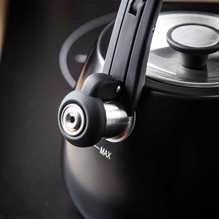 Чайник сталевий 2.5L Induktion (Чорний)