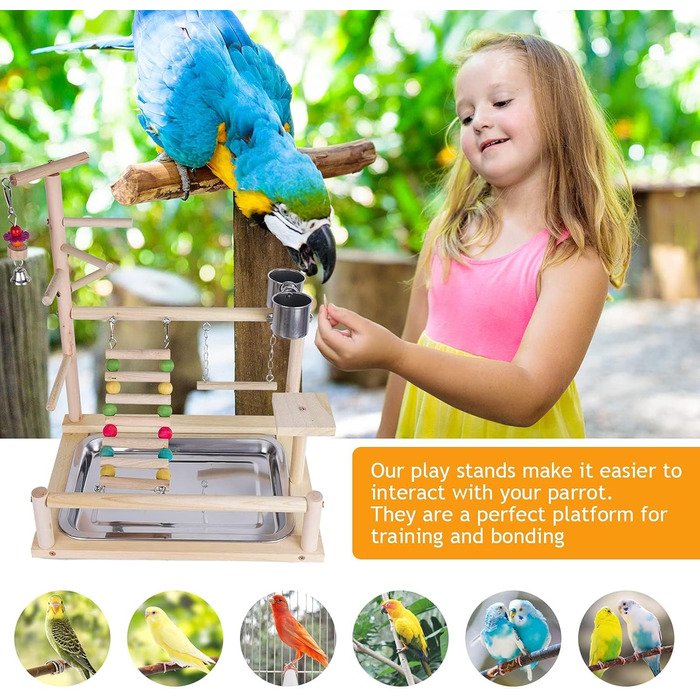 Parrot Playstand, Bird Playground, Parrot Bird Play Area, Parrot Bird Stand Bird Playground for Bird Cages, for Budgies and Cockatiels (37 * 26 * 44CM)