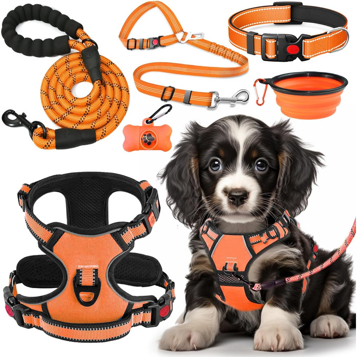 Набір для собак Anti-Zug Harness Set з повідком та нашийником | З авторемнем, складаними мисками та диспенсером для відходів | Для собак малих та великих порід | Ідеально для прогулянок, тренувань та подорожей (S, Помаранчевий)
