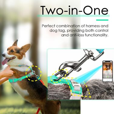 Відбиваюча нашийник для собак ThinkPet з Air-Mesh, QR-кодом, для цуценят та собак середніх розмірів, блакитно-зелений, 